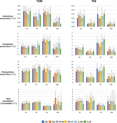 Bacterial Inoculants Mitigating Water Scarcity in Tomato: The Importance of Long-Term in vivo Experiments